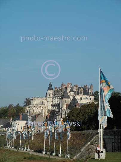 France-Amboises-Cite-panoramicla view,monuments,history