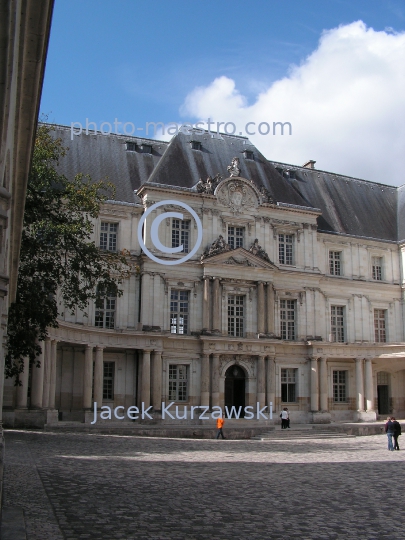 France-Blois-chateau-castle