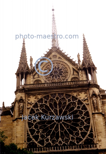 France,Paris,Cathedral Notre Dame,history,architecture,details