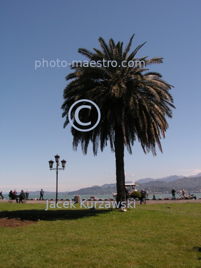 Georgia,Batumi,city center,architecture,buildings ,architecture,panoramical view,boulvard,harbour,port,Black Sea,palms,nature