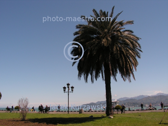 Georgia,Batumi,city center,architecture,buildings ,architecture,panoramical view,boulvard,harbour,port,Black Sea,palms,nature