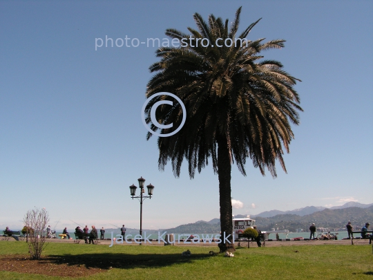 Georgia,Batumi,city center,architecture,buildings ,architecture,panoramical view,boulvard,harbour,port,Black Sea,palms,nature