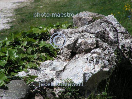 Georgia,Kutaisi,Imeretia Region,architecture,history,culture,comuniaction,city center,Bagrati Cathedral,nature,artefacts,detail