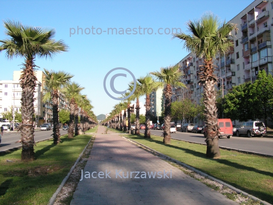 Georgia,Kutaisi,Imeretia Region,architecture,roads,city center,palms