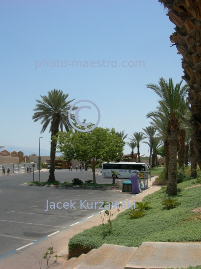 Israel,Death sea,Ein Bokkek,beach,baleonology,hotels,beach