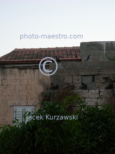 Israel,Nazareth