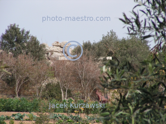 Malta,Gozo,Megalith,Ggantija