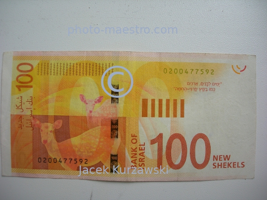 money,Israel,new shekl,100 shekles,note,cash,security