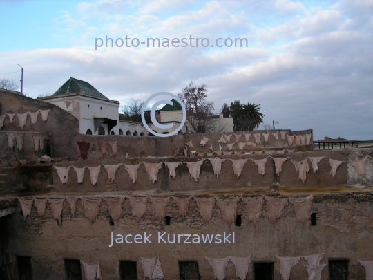 Morocco-Fes-Tannery