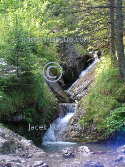 Mountain stream in the Pieniny Mountains,Poland