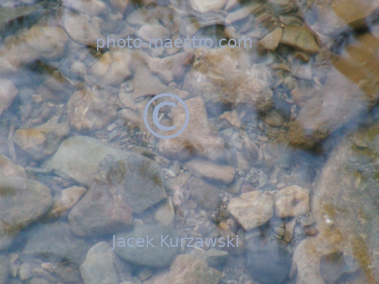 Mountain stream in the Pieniny Mountains,Poland