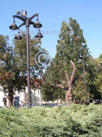 Poland,Bydgoszcz,Kuyavian-Pomeranian Voivodeship,architecture,history,city center,monuments,Filharmony,park,sculpture