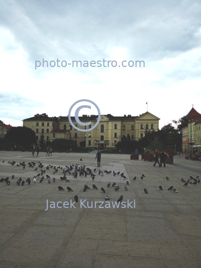 Poland,Bydgoszcz,Kuyavian-Pomeranian Voivodeship,city center,daily life in Bydgoszcz,summer,architecture,cty center,Old Market Square