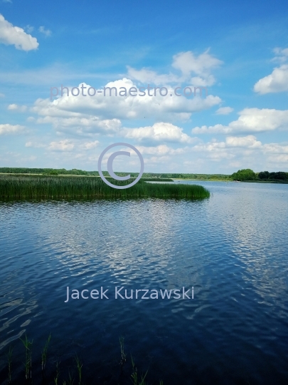 Poland,Bydgoszcz,Kuyavian-Pomeranian Voivodeship,nature,Chmielniki,Jezuickie Lake,recreation