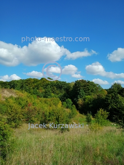 Poland,Bydgoszcz,Kuyavian-Pomeranian Voivodeship,nature,Myslecinek,recreation,nature,hills