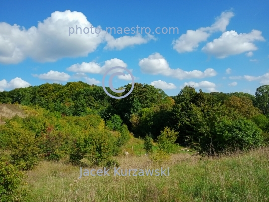 Poland,Bydgoszcz,Kuyavian-Pomeranian Voivodeship,nature,Myslecinek,recreation,nature,hills