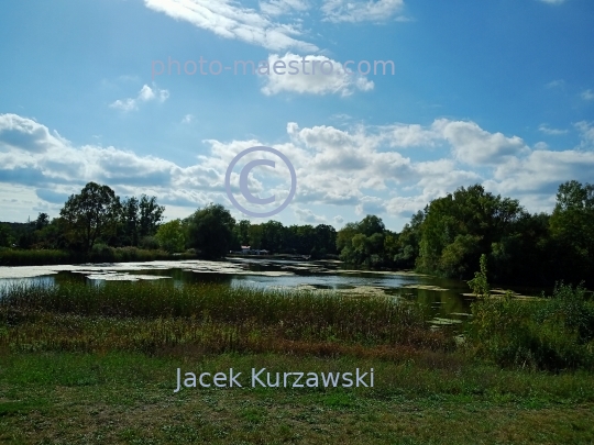 Poland,Bydgoszcz,Kuyavian-Pomeranian Voivodeship,nature,Myslecinek,recreation,ponds