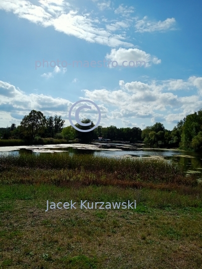 Poland,Bydgoszcz,Kuyavian-Pomeranian Voivodeship,nature,Myslecinek,recreation,ponds