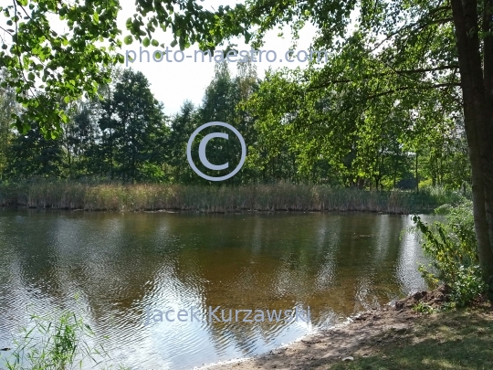 Poland,Bydgoszcz,Kuyavian-Pomeranian Voivodeship,nature,Myslecinek,recreation,ponds