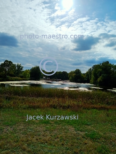 Poland,Bydgoszcz,Kuyavian-Pomeranian Voivodeship,nature,Myslecinek,recreation,ponds