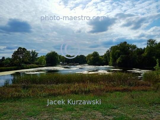 Poland,Bydgoszcz,Kuyavian-Pomeranian Voivodeship,nature,Myslecinek,recreation,ponds