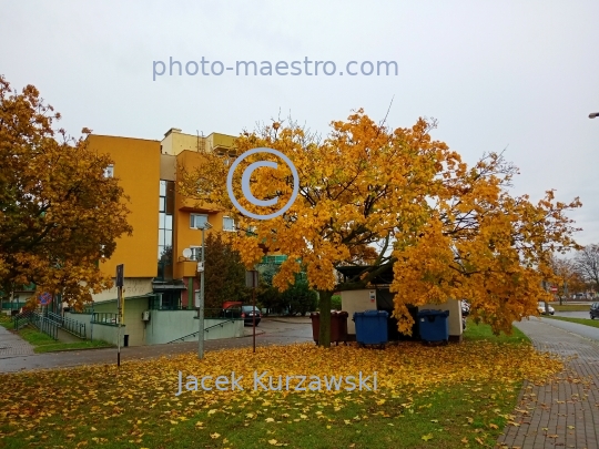 Poland,Bydgoszcz,Kuyavian-Pomeranian Voivodeship,Wyzyny district,,architecture,atumn