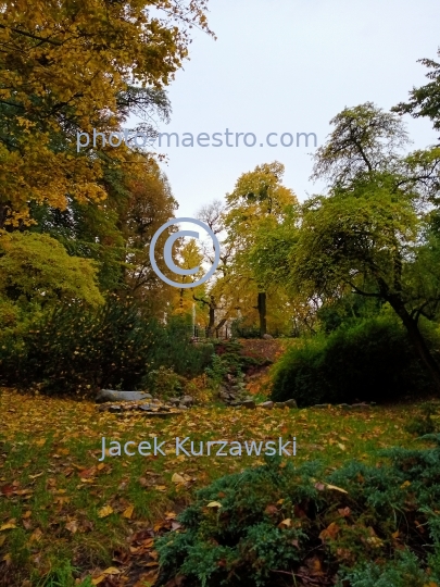 Poland,Bydgoszcz,Kuyavian-Pomeranian Voivodeship,Wzgorze Dabrowskiego,nature,park,autumn