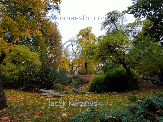 Poland,Bydgoszcz,Kuyavian-Pomeranian Voivodeship,Wzgorze Dabrowskiego,nature,park,autumn