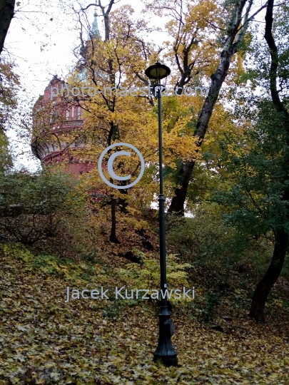 Poland,Bydgoszcz,Kuyavian-Pomeranian Voivodeship,Wzgorze Dabrowskiego,park,autumn,water tower