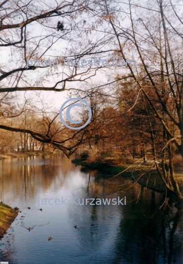 Poland,Bydgoszz,Kuyavian-Pomeranian Voivodeship,architecture,nature,Brda,chanel