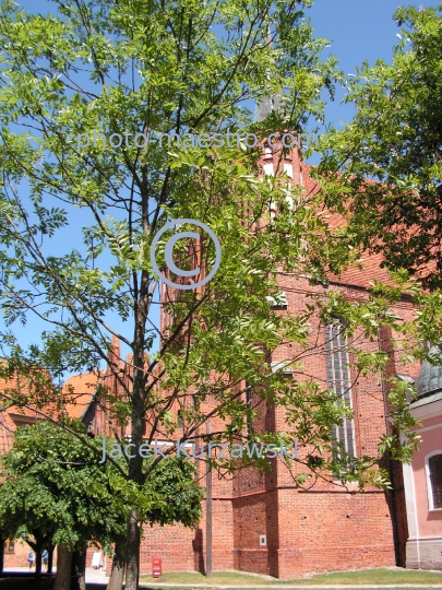 Poland,Frombork,Warmian-Masurian Voivodeship,Cathedral,Old Town,monuments,walls,architecture,panoramical view,Nicolaus Copernicus