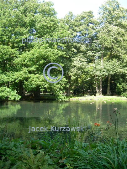 Poland,Gdansk,Gdansk-Oliwa,Pomeranian Voivodeship,park,nature,panoramical view