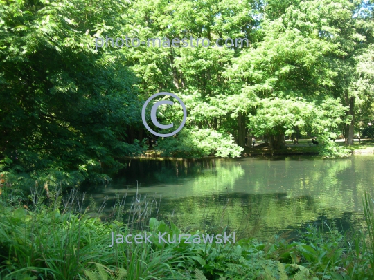 Poland,Gdansk,Gdansk-Oliwa,Pomeranian Voivodeship,park,nature,panoramical view