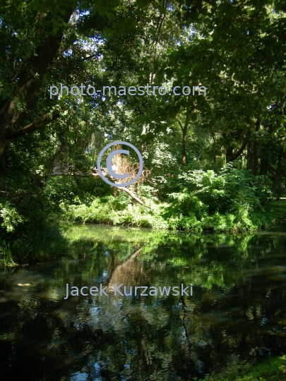 Poland,Gdansk,Gdansk-Oliwa,Pomeranian Voivodeship,park,nature,panoramical view