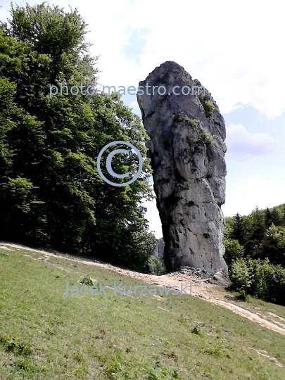 Poland,Hercules Cudgel,Pieskowa Skala,Lesser Poland voivodeship,history,architecture,castle,nature,panoramical view,OPN