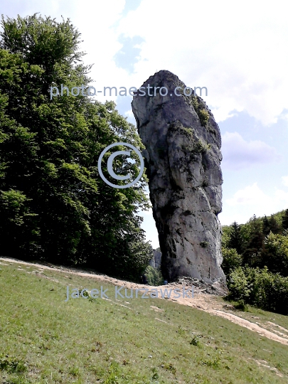 Poland,Hercules Cudgel,Pieskowa Skala,Lesser Poland voivodeship,history,architecture,castle,nature,panoramical view,OPN