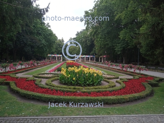 Poland,Inowroclaw,Kuyavian-Pomeranian Voivodeship,architecture,baleonology,park,salt,flowers