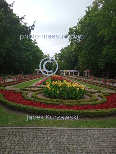 Poland,Inowroclaw,Kuyavian-Pomeranian Voivodeship,architecture,baleonology,park,salt,flowers