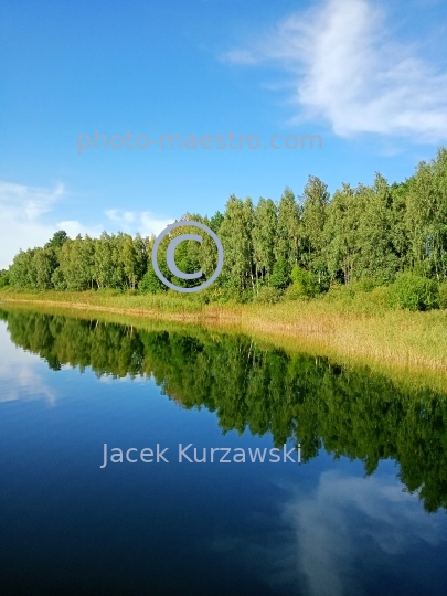 Poland,Kamionki,Kuyavian-Pomeranian Voivodeship,lake,recreation,resort,nature,forest