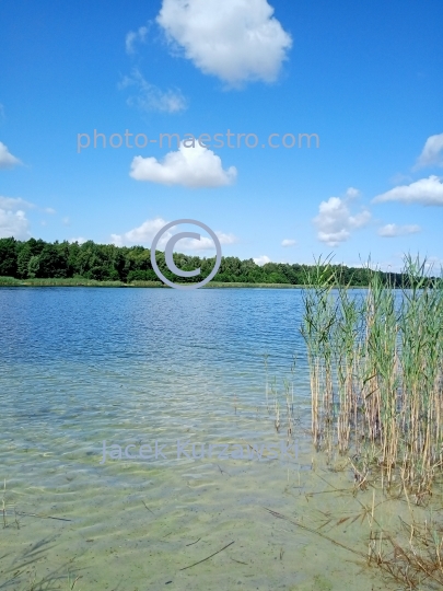 Poland,Kamionki,Kuyavian-Pomeranian Voivodeship,lake,recreation,resort,nature,forest,clear water