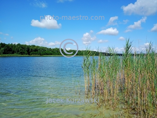 Poland,Kamionki,Kuyavian-Pomeranian Voivodeship,lake,recreation,resort,nature,forest,clear water