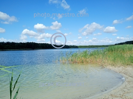 Poland,Kamionki,Kuyavian-Pomeranian Voivodeship,lake,recreation,resort,nature,forest,clear water