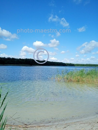 Poland,Kamionki,Kuyavian-Pomeranian Voivodeship,lake,recreation,resort,nature,forest,clear water