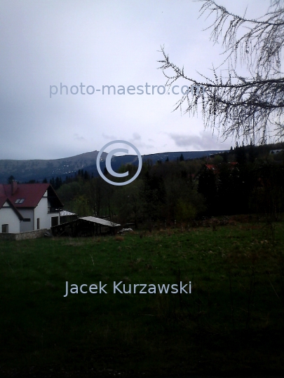 Poland,Karpacz,Karkonosze Mountains,lower silesian voivodeship,nature,mountains