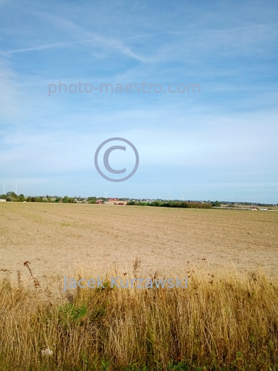 Poland,Klodawa,Greater Poland Voivodeship,field,rye,blue sky