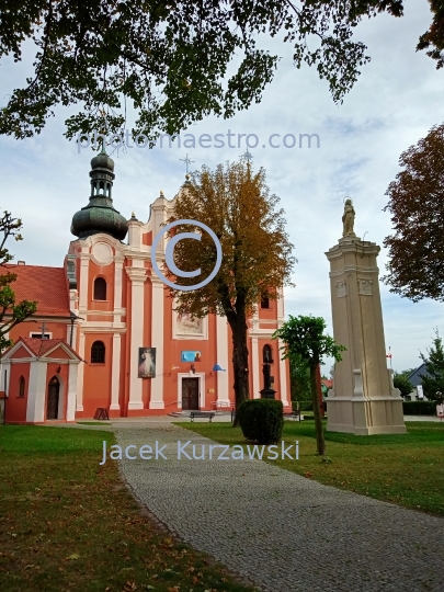 Poland,Klodawa,Greater Poland Voivodeship,town,buildings,city  center,Baroque Church,autumn