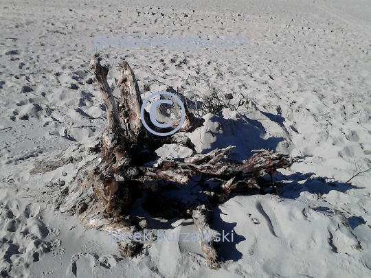 Poland,Kolobrzeg,West Pomeranian Voivodeship,sea shore,sand,Baltic Sea,beach,ambience,Old wood,decoration,nature