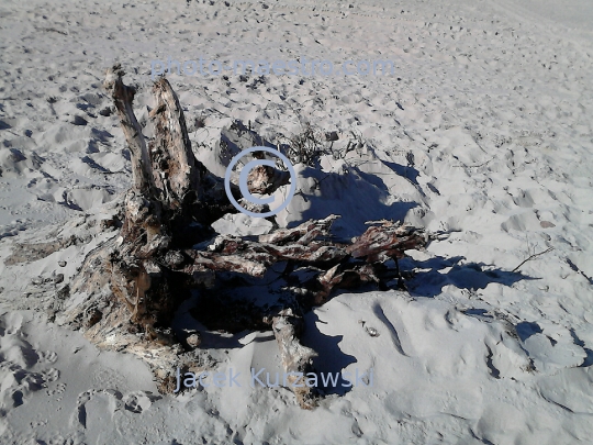 Poland,Kolobrzeg,West Pomeranian Voivodeship,sea shore,sand,Baltic Sea,beach,ambience,Old wood,decoration,nature