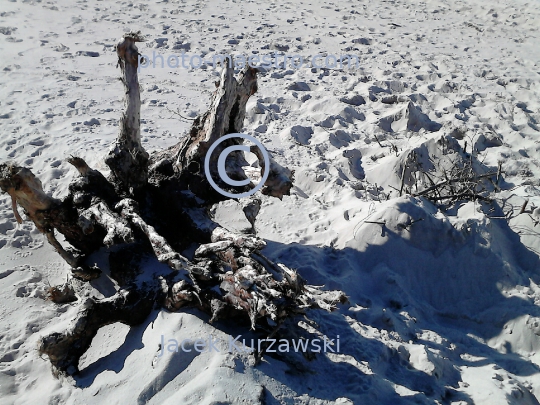 Poland,Kolobrzeg,West Pomeranian Voivodeship,sea shore,sand,Baltic Sea,beach,ambience,Old wood,decoration,nature