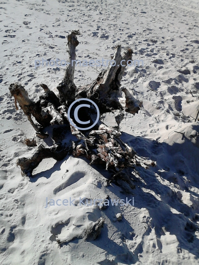 Poland,Kolobrzeg,West Pomeranian Voivodeship,sea shore,sand,Baltic Sea,beach,ambience,Old wood,decoration,nature